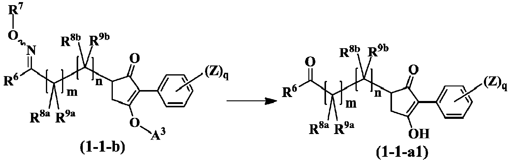 Figure imgb0017