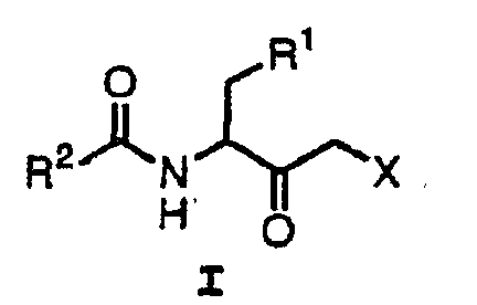 Figure 00540001