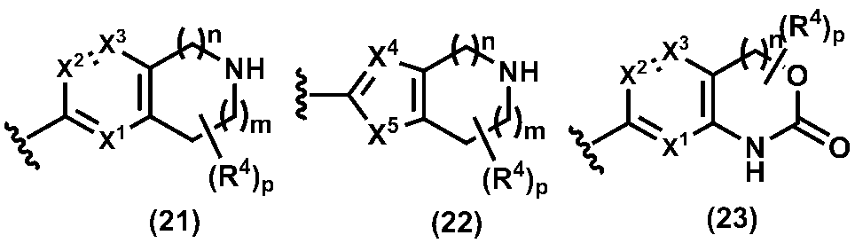 Figure JPOXMLDOC01-appb-C000013