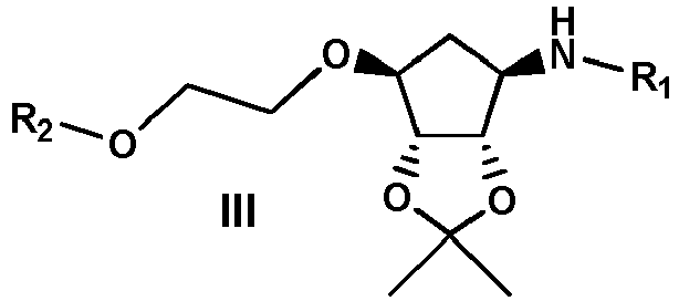 Figure imgb0030