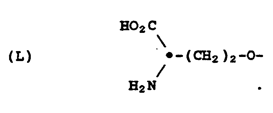 Figure imgb0137