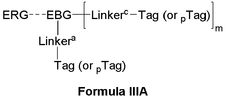 Figure imgb0151