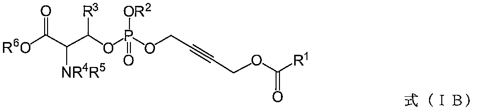 Figure JPOXMLDOC01-appb-C000017