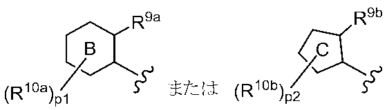 Figure JPOXMLDOC01-appb-C000012