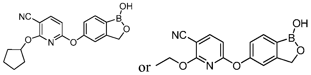 Figure imgf000079_0005