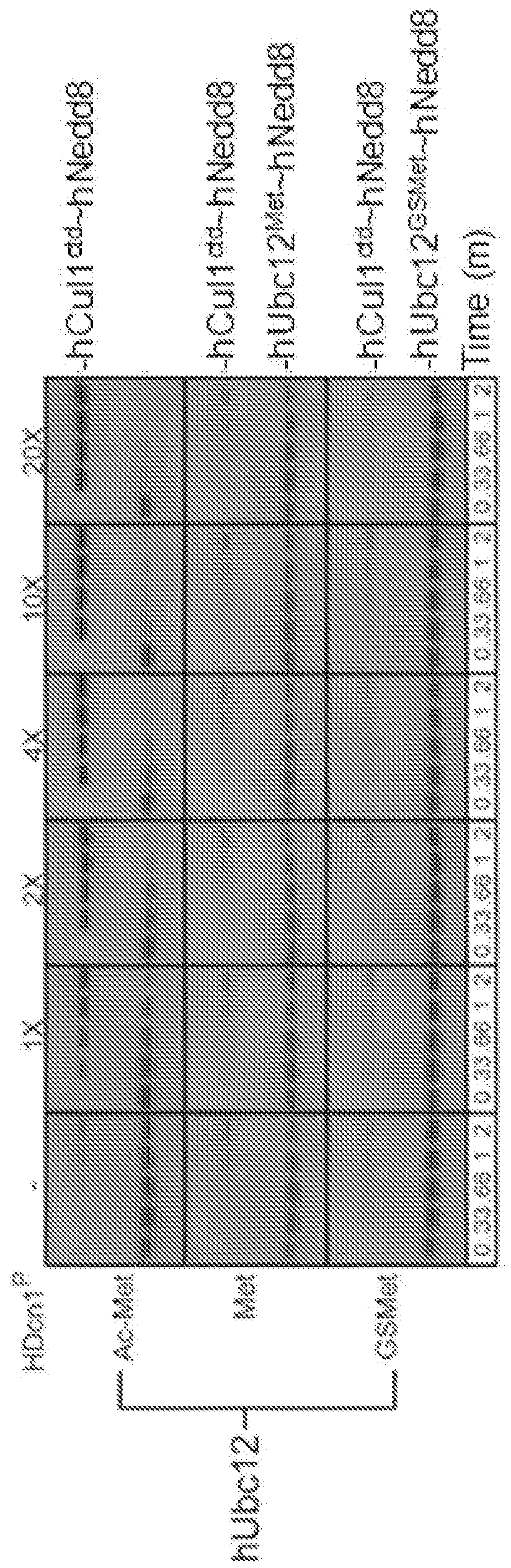 Figure imgf000158_0001