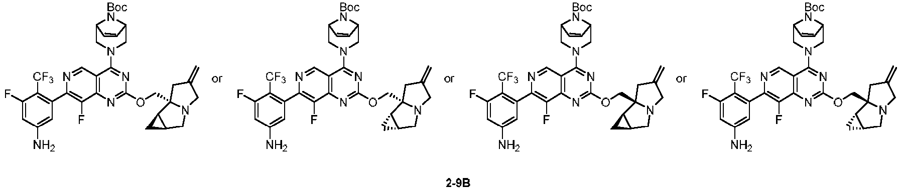 Figure imgb0248