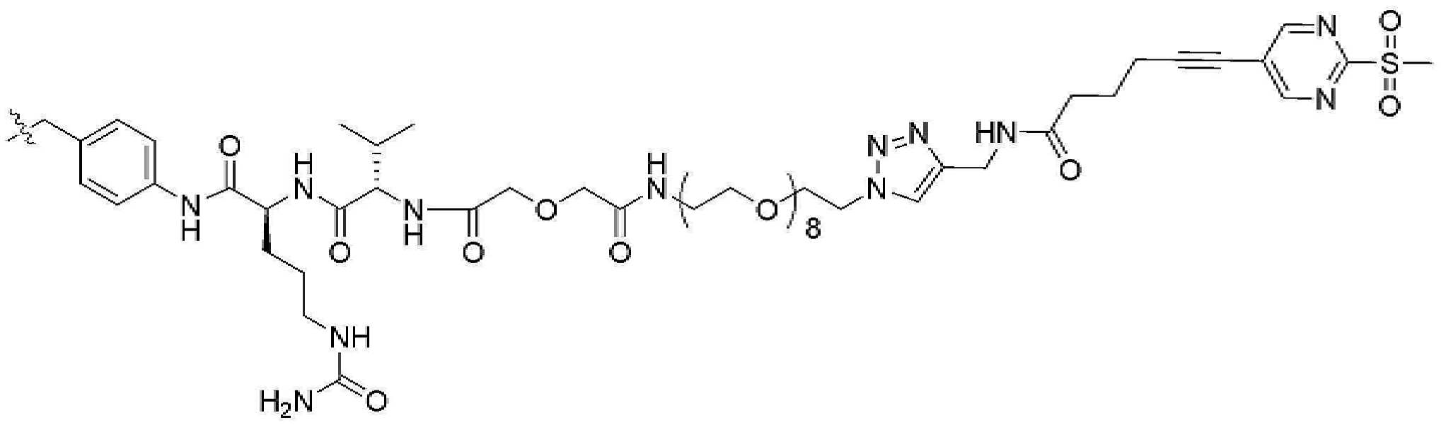 Figure pct00202