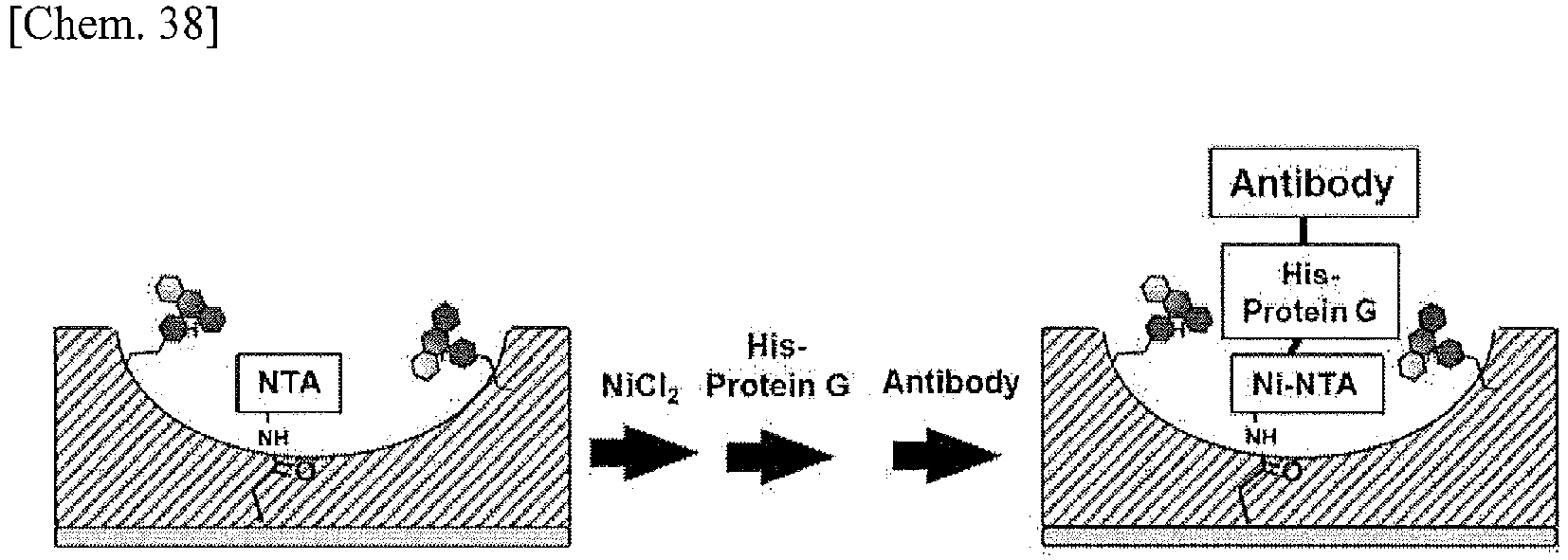 Figure imgb0065