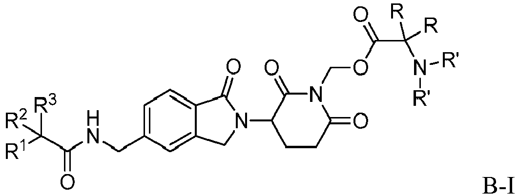 Figure imgb0002