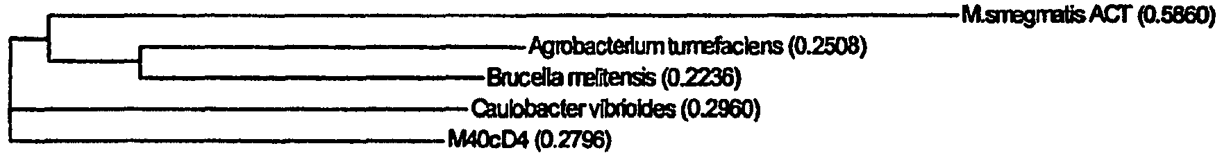 Figure imgb0284