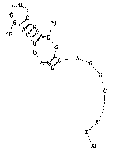 Figure imgb0011