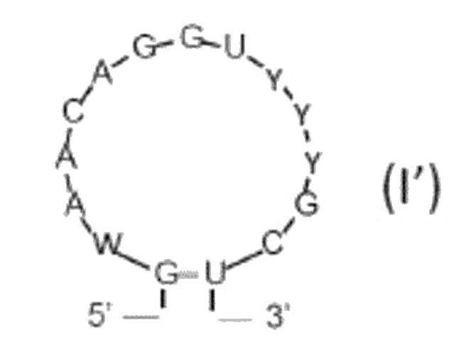 Figure JPOXMLDOC01-appb-C000004