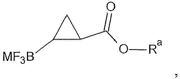 Figure imgb0493