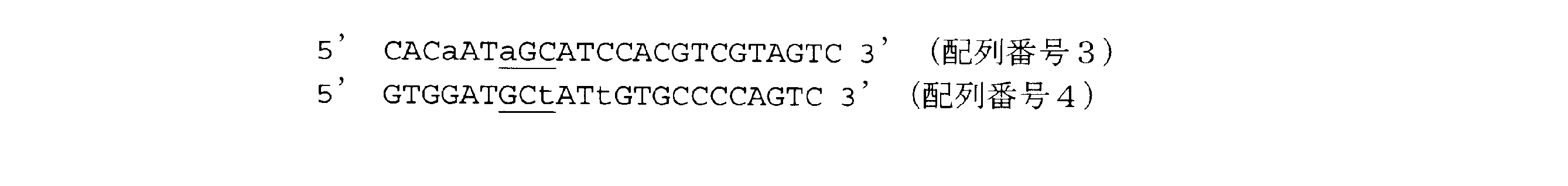 Figure JPOXMLDOC01-appb-C000002