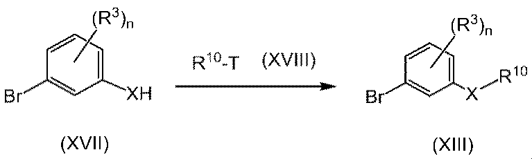 Figure JPOXMLDOC01-appb-C000011