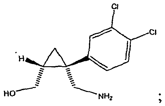 Figure imgf000004_0001