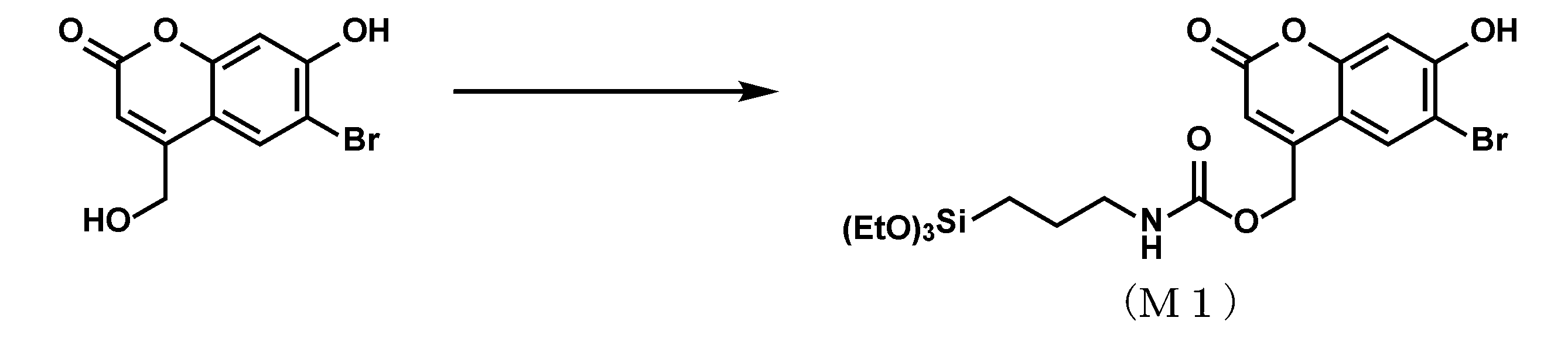 Figure JPOXMLDOC01-appb-C000013