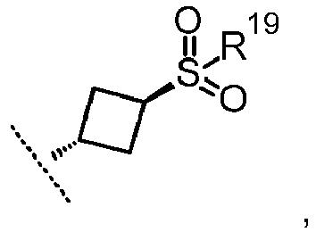 Figure imgb0052