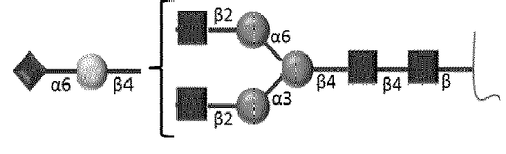 Figure imgb0005