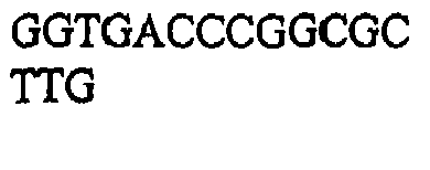 Figure imgb0050