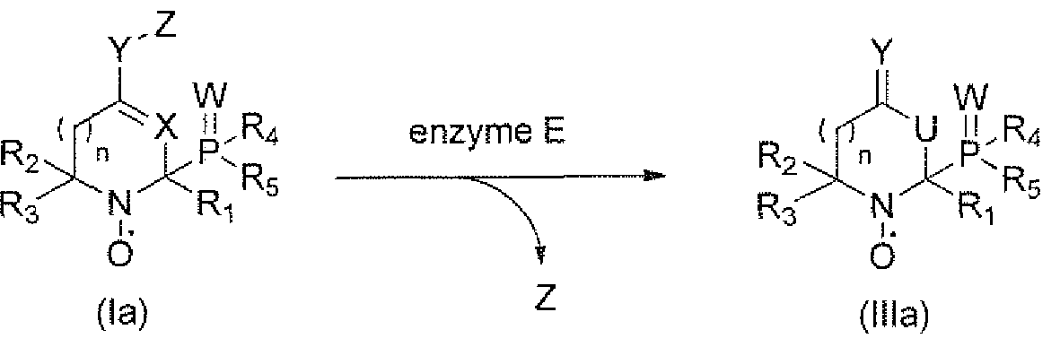 Figure imgf000028_0001