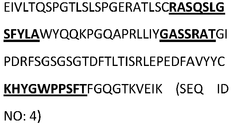 Figure imgb0019