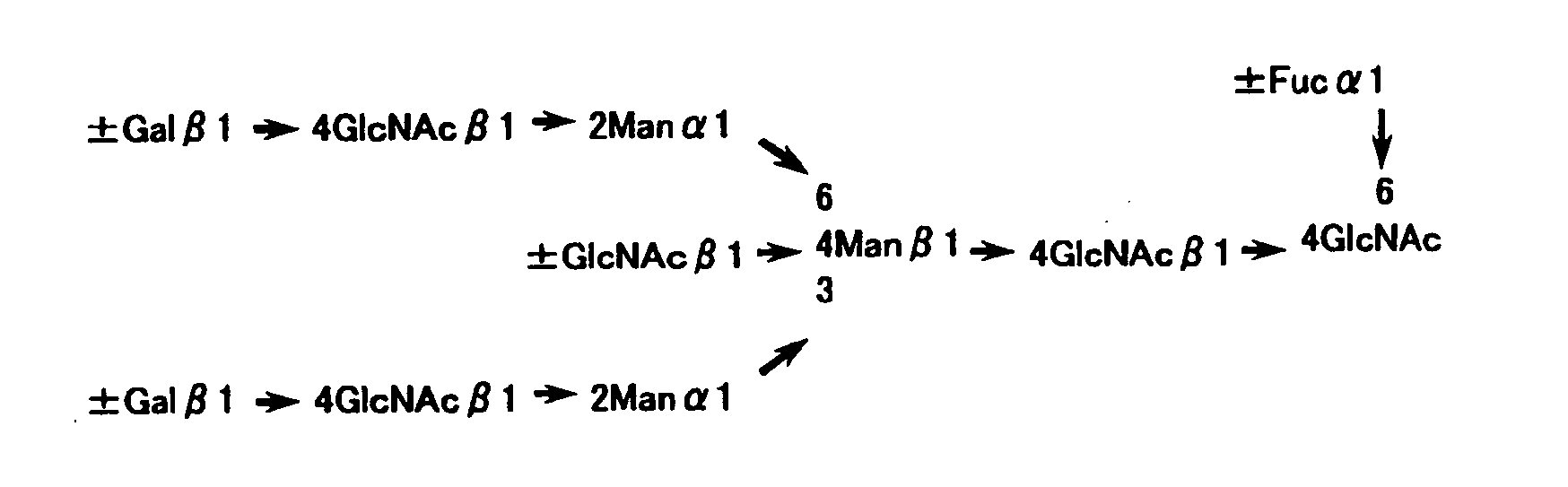 Figure imgb0001