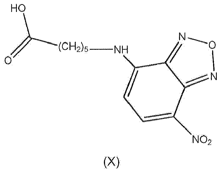 Figure imgb0031
