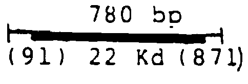 Figure imgb0001