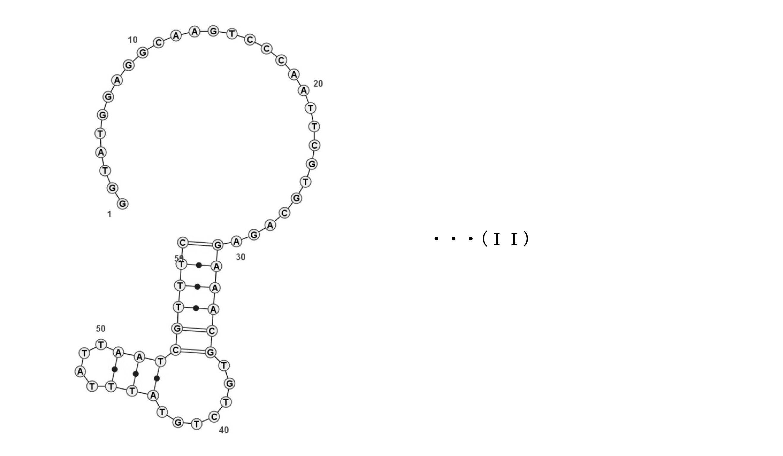 Figure JPOXMLDOC01-appb-C000013