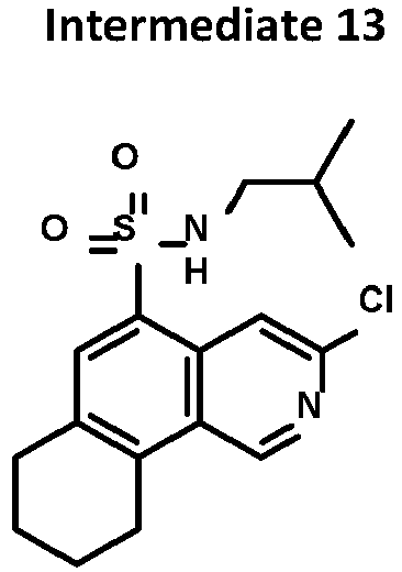 Figure imgb0013