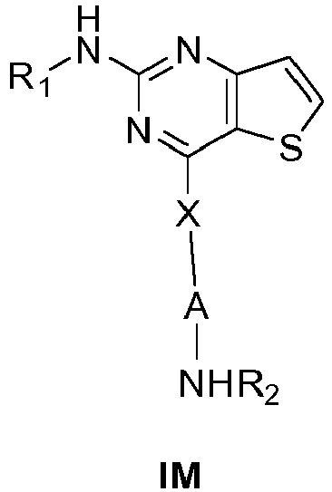 Figure imgb0181