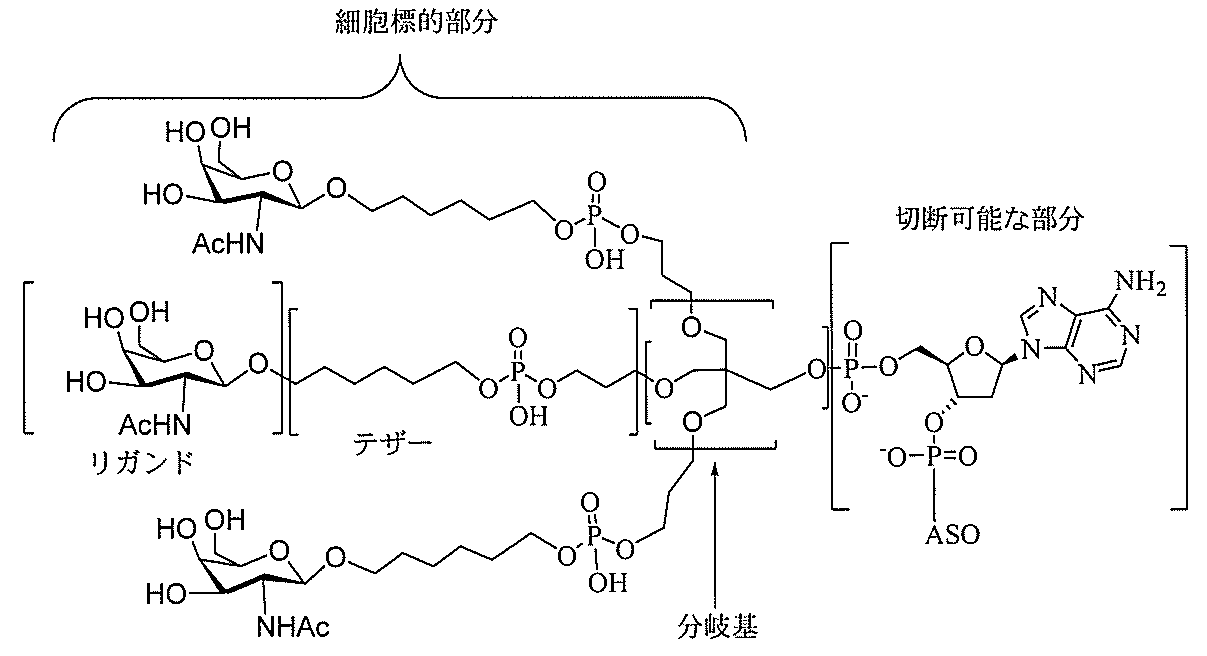 Figure 2022017514000008