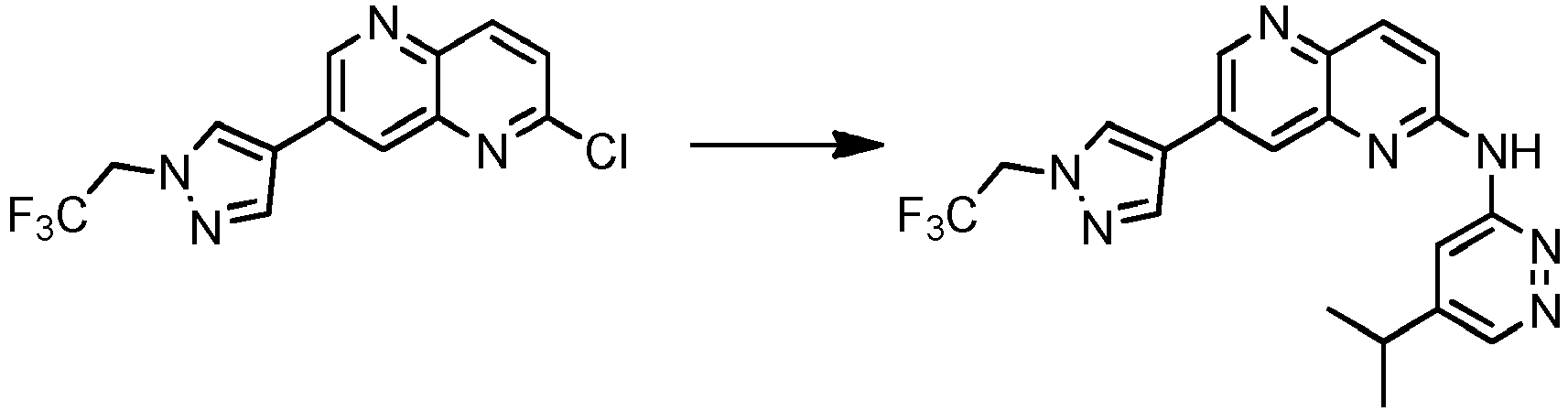 Figure imgb1009