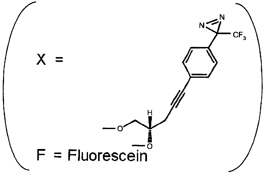Figure imgb0025