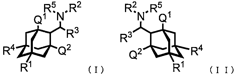 Figure JPOXMLDOC01-appb-C000009
