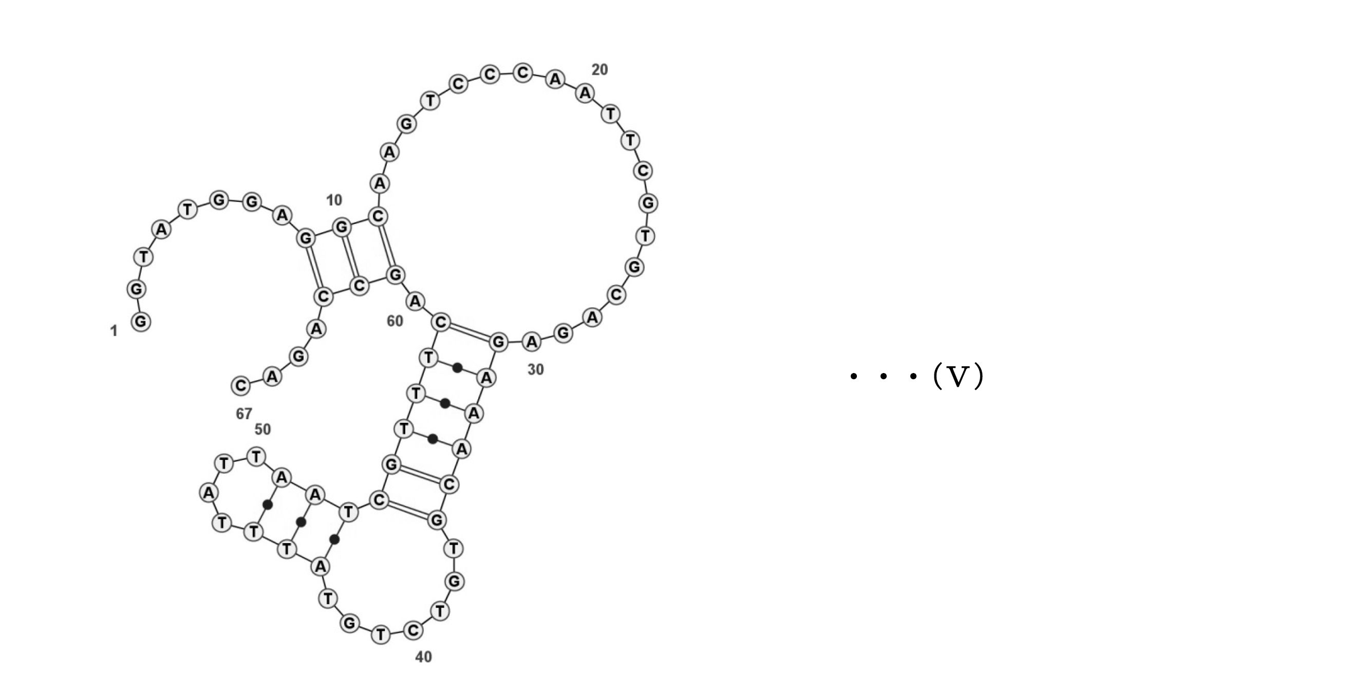 Figure JPOXMLDOC01-appb-C000005