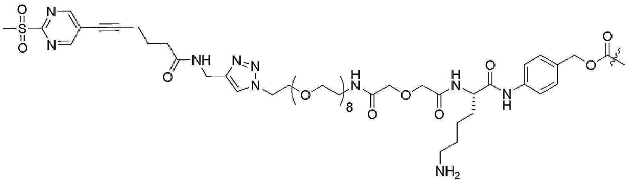 Figure pct00997
