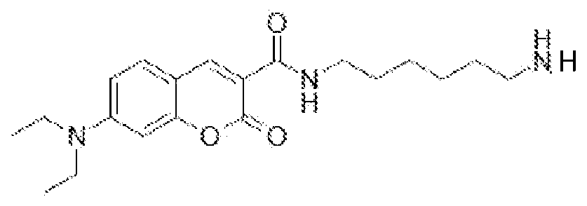 Figure imgf000053_0001