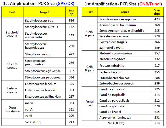 google patents