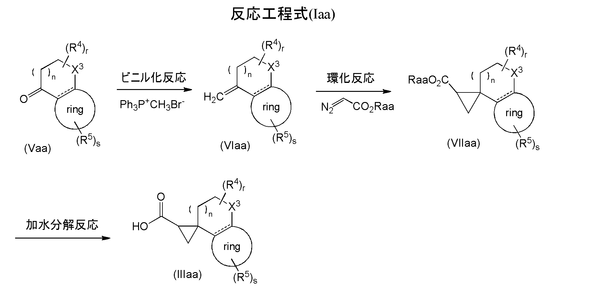 Figure JPOXMLDOC01-appb-C000043