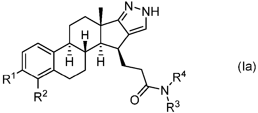 Figure imgb0304