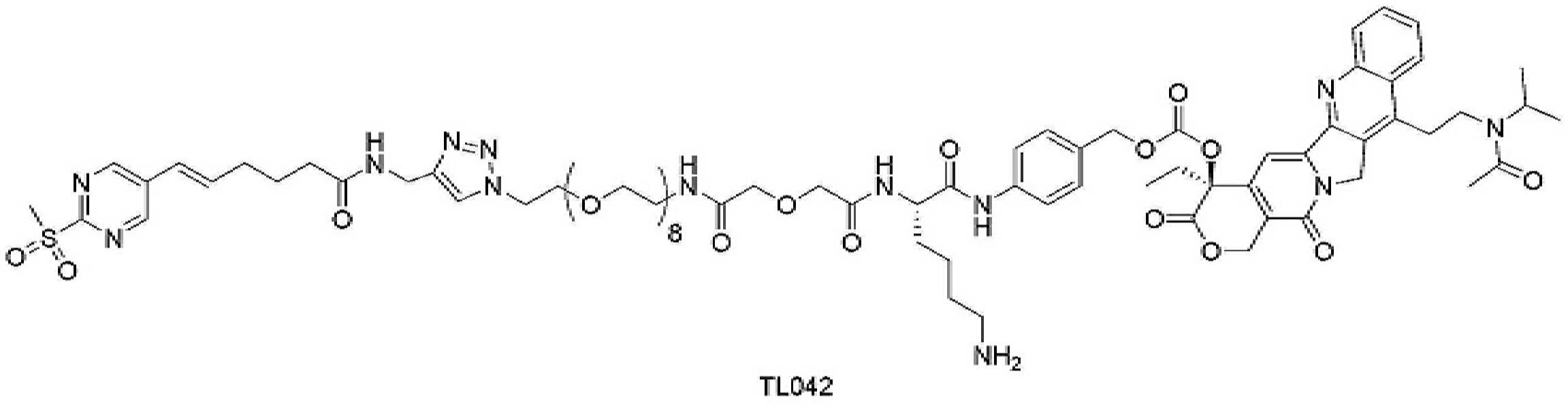 Figure pct00389