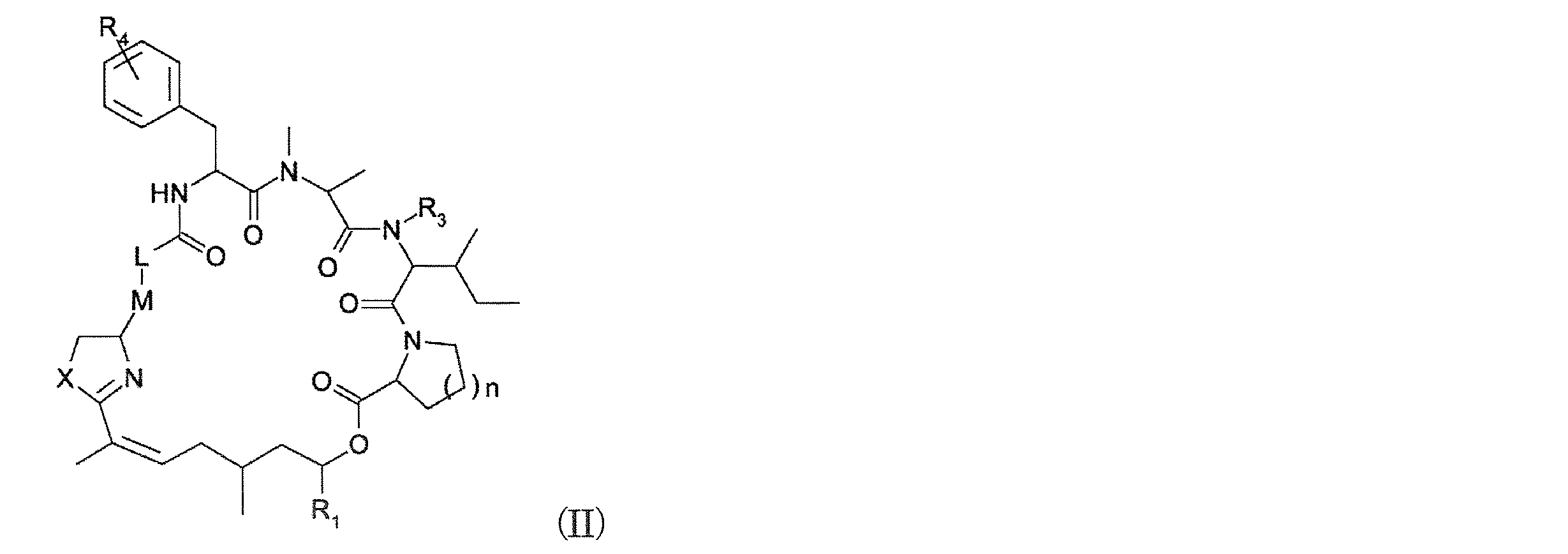 Figure JPOXMLDOC01-appb-C000010