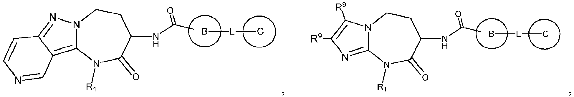 Figure imgb2925