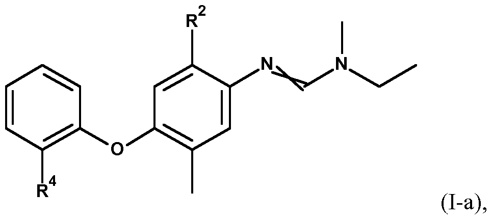 Figure imgf000010_0001