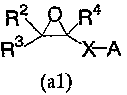 Figure imgf000005_0001