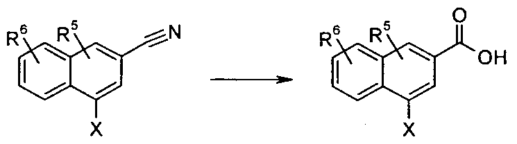 Figure imgf000009_0004
