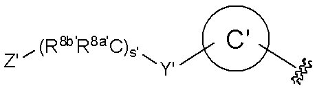 Figure JPOXMLDOC01-appb-C000030